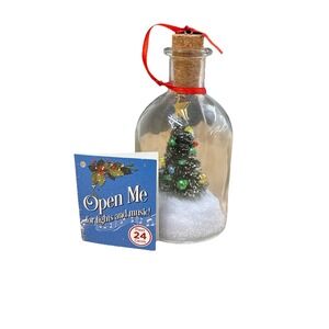 Christmas Tree Message in a Bottle,Recordable Holiday Greeting Glass Ornament